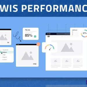 SWIS Performance
