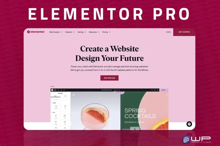 Elementor Pro